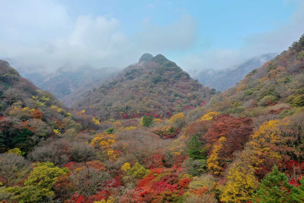 단풍놀이, 근교여행, 단풍놀이 장소, 단풍시기, 어반스케치, 가을, 가을여행, 풍경그림, 풍경