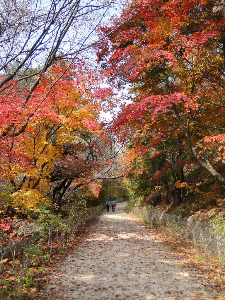 단풍놀이, 근교여행, 단풍놀이 장소, 단풍시기, 어반스케치, 가을, 가을여행, 풍경그림, 풍경