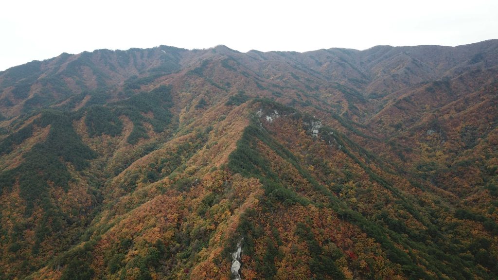 단풍놀이, 근교여행, 단풍놀이 장소, 단풍시기, 어반스케치, 가을, 가을여행, 풍경그림, 풍경