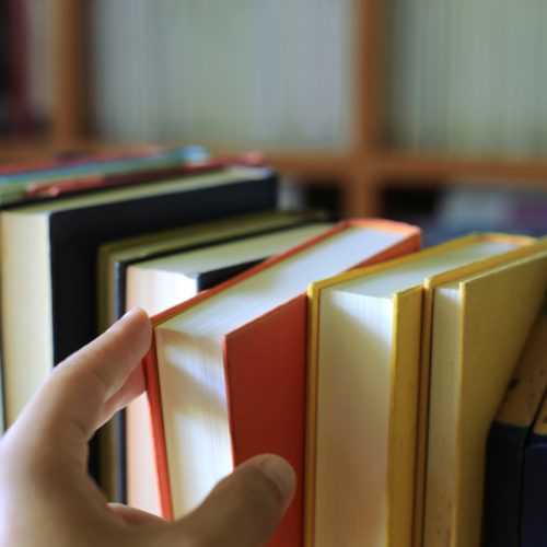 서울국제도서전에서 본 그 책? 출판용 종이 추천 5가지