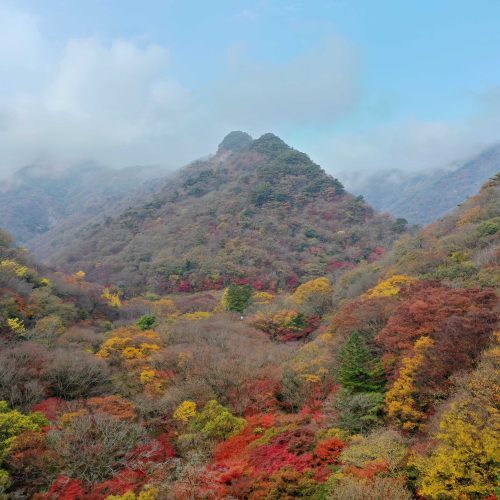 가을 단풍 명소 추천ㅣ서울 근교부터 지역까지, 어반스케치로 남기는 풍경 그림