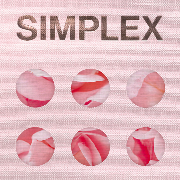 SIM-99_L.png