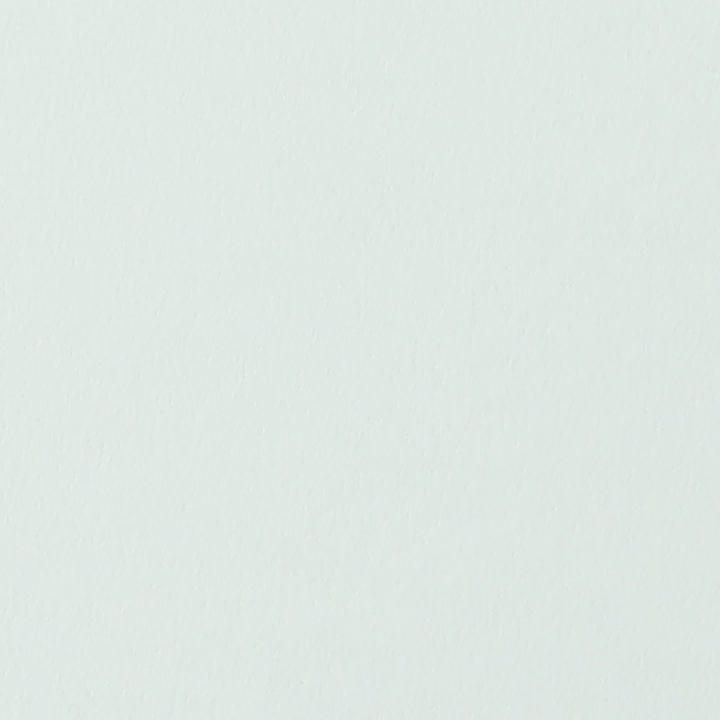 ARARW08-4S29_T.png