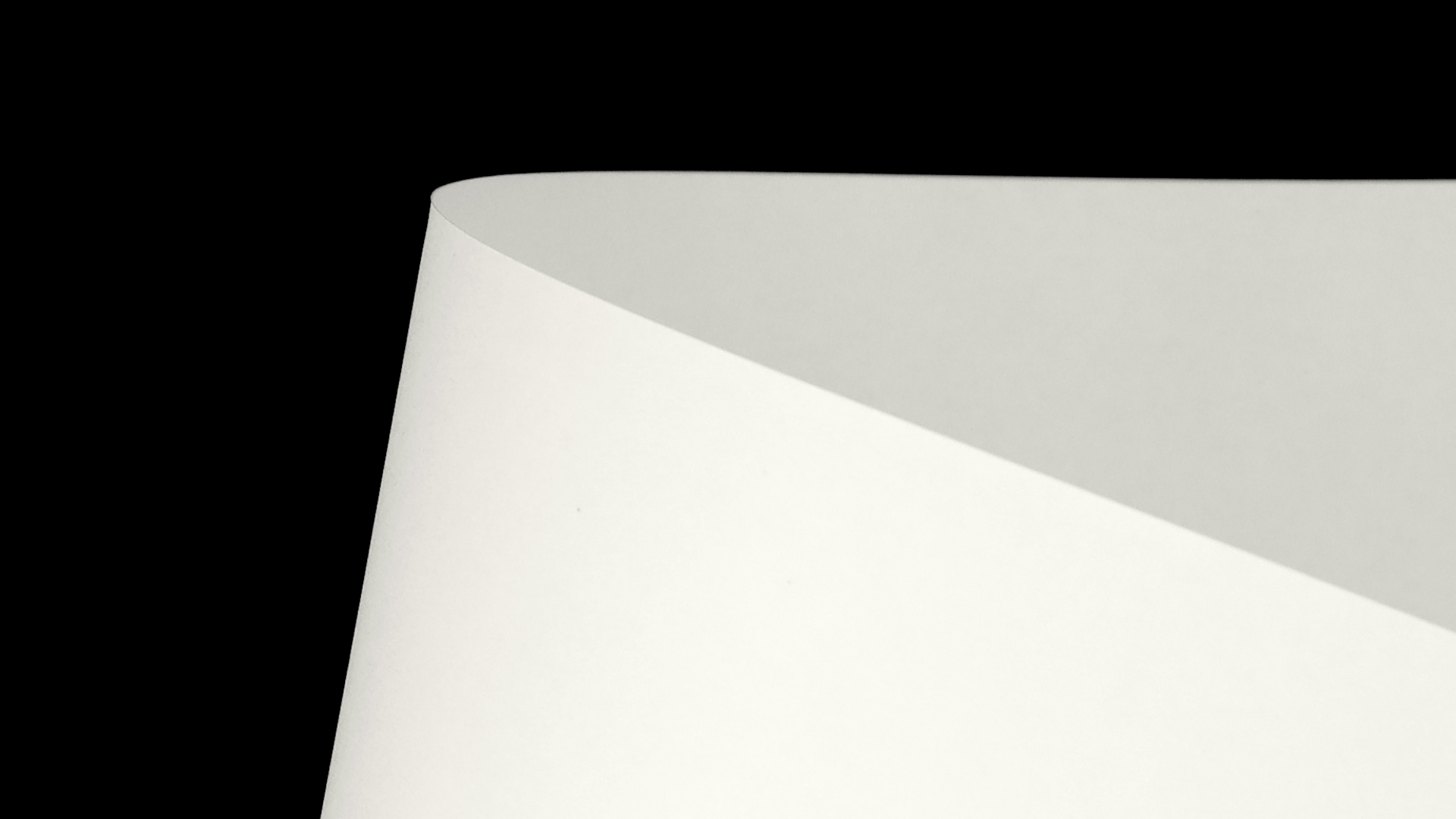 ARASN01-101_P_D.png
