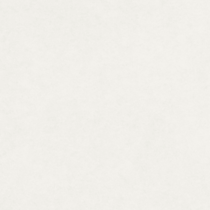 ARASN02-303_T.png