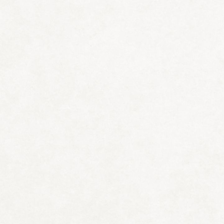ARASW02-101_T.png