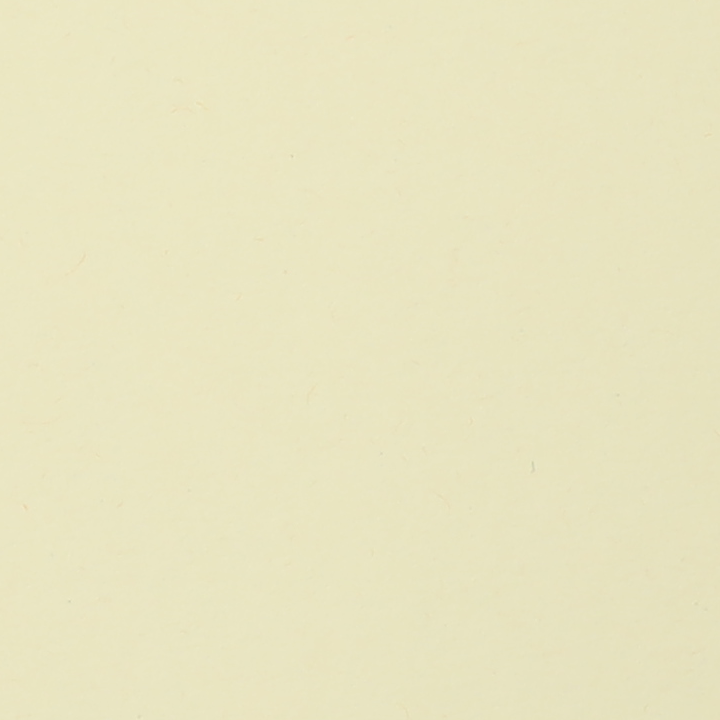 CPLC06EE9_T.png