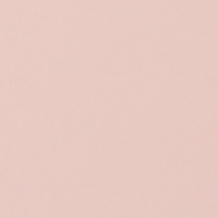 CPLC08EE9_T.png