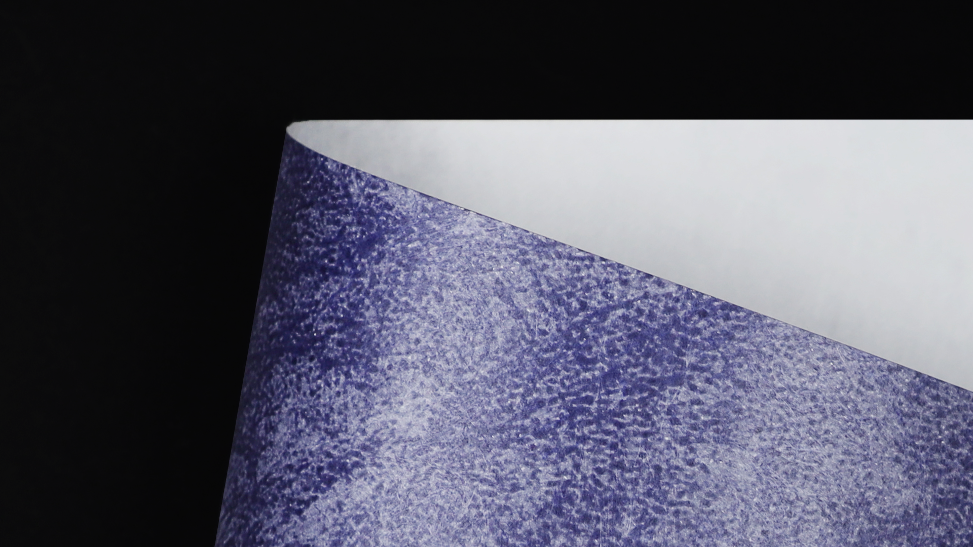 CTY03O41_P_D.png
