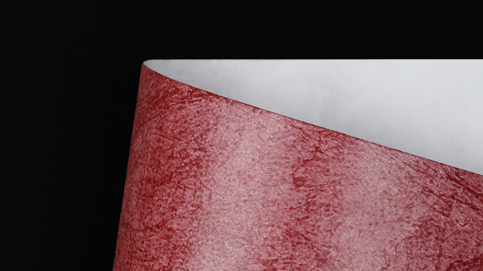 CTY04O41_P_D.png