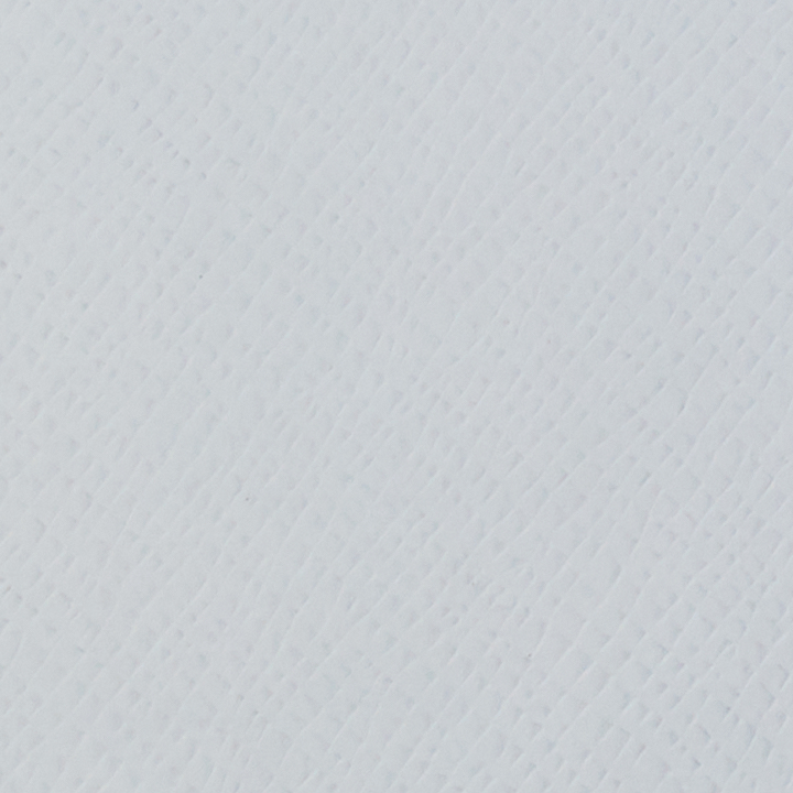 GALA0407_T.png