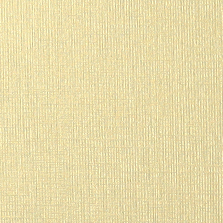 LC224-103_T.png