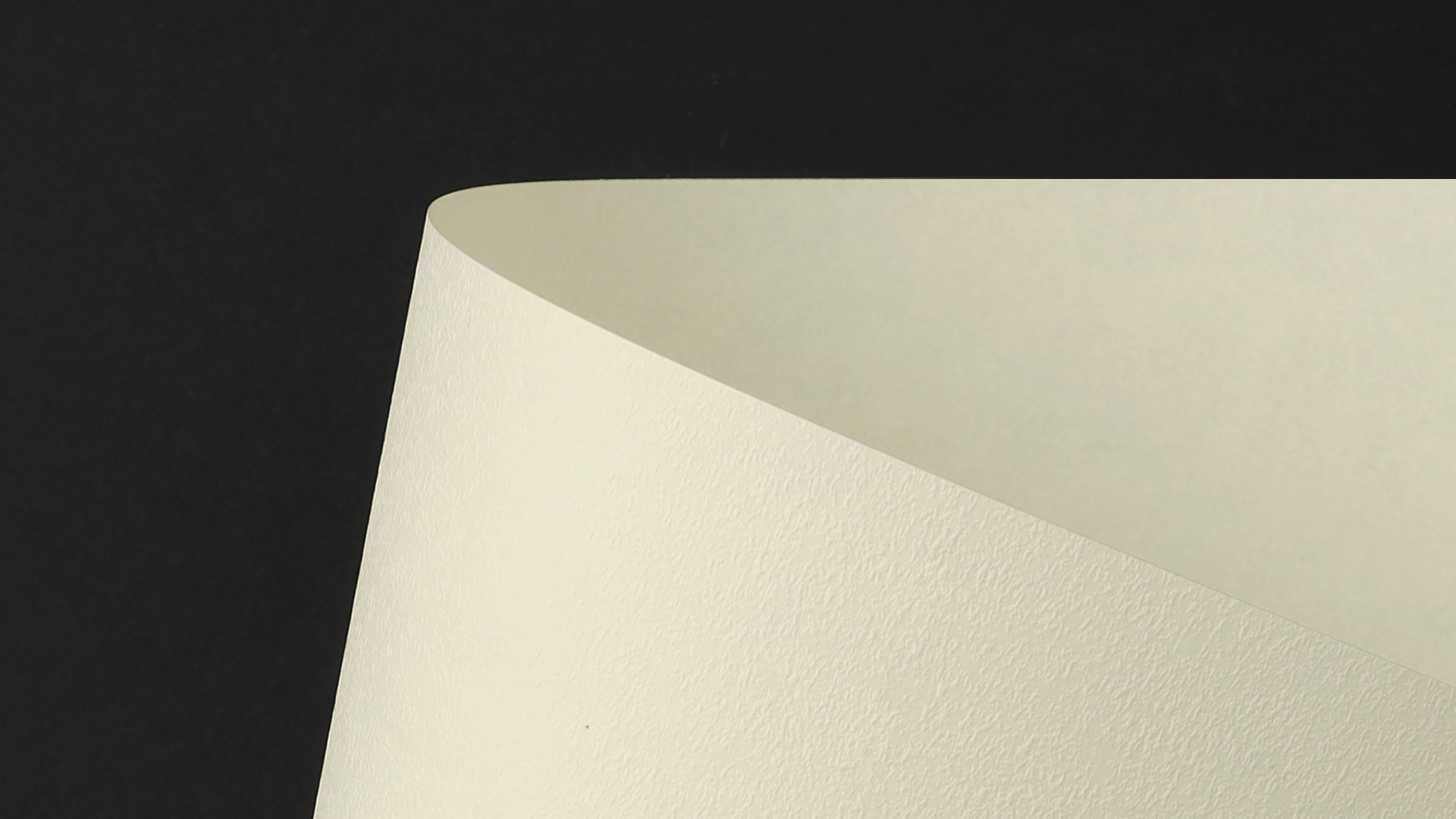 MDCCC0202_P_D.png