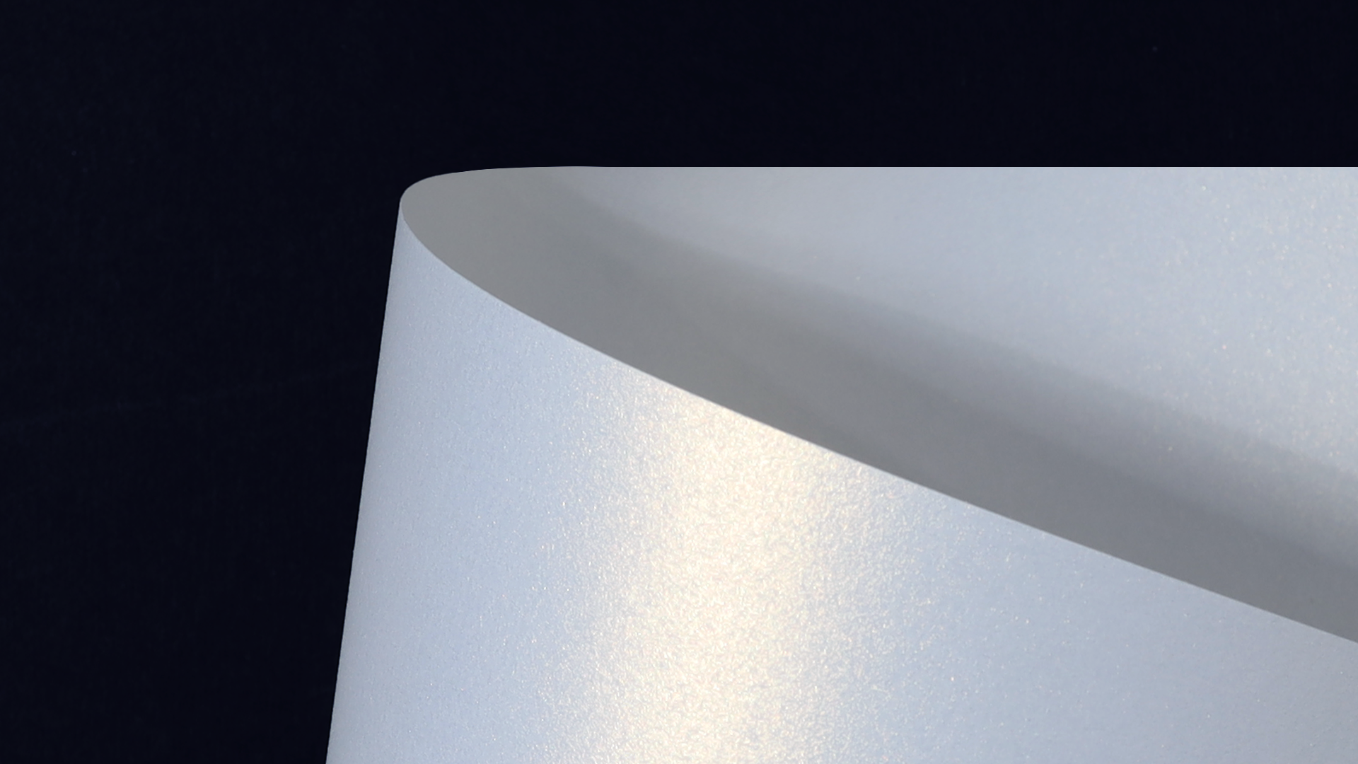 MJCC0501_P_D.png