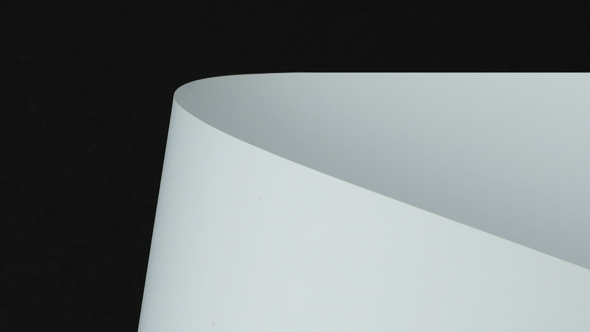 RAW0402_P_D.png