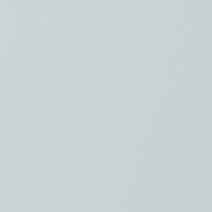 RAW0804_T.png