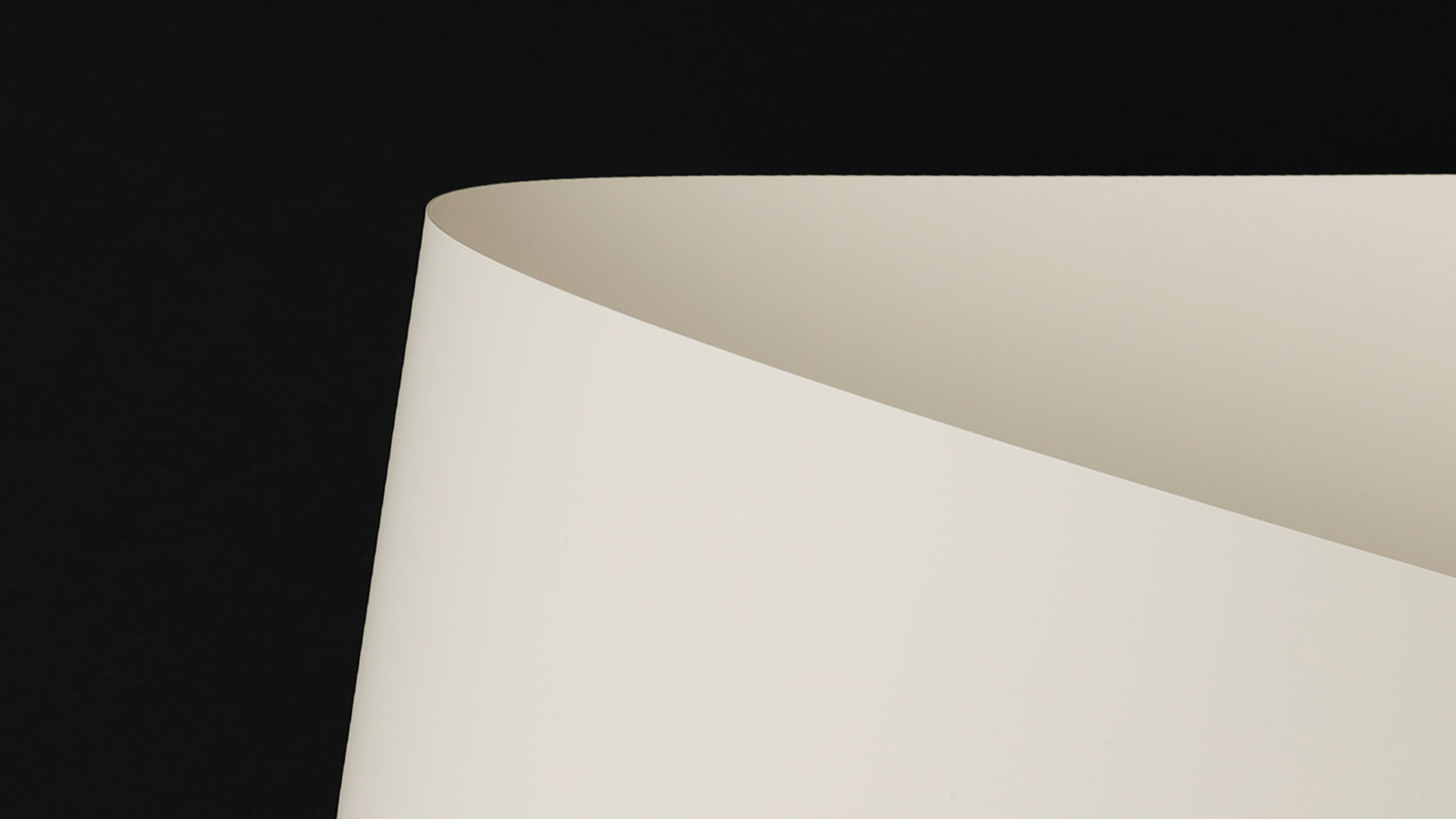 SKINC0307_P_D.png