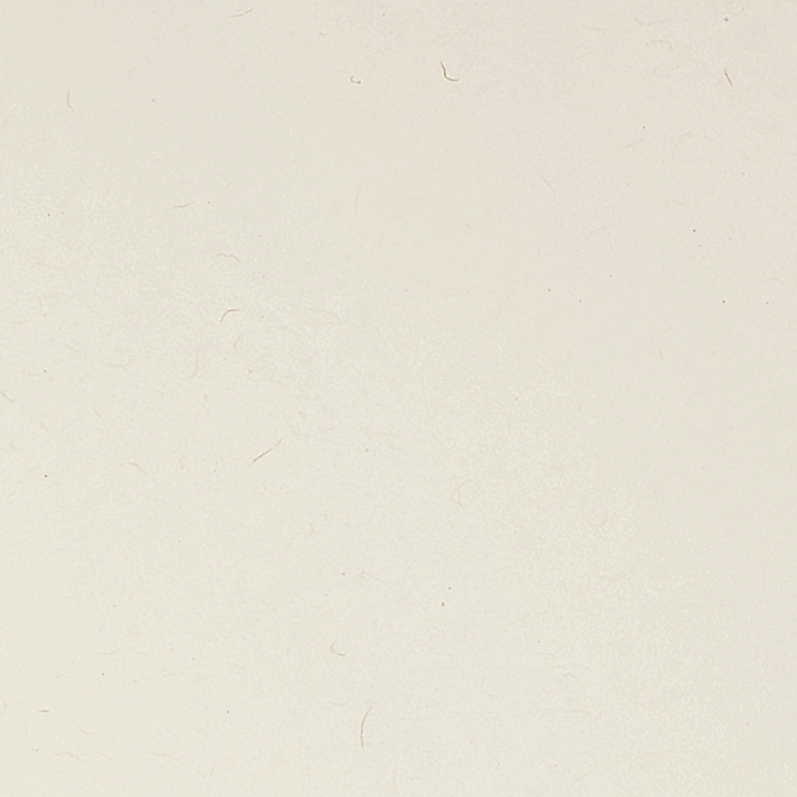 U433C02E91_T.png