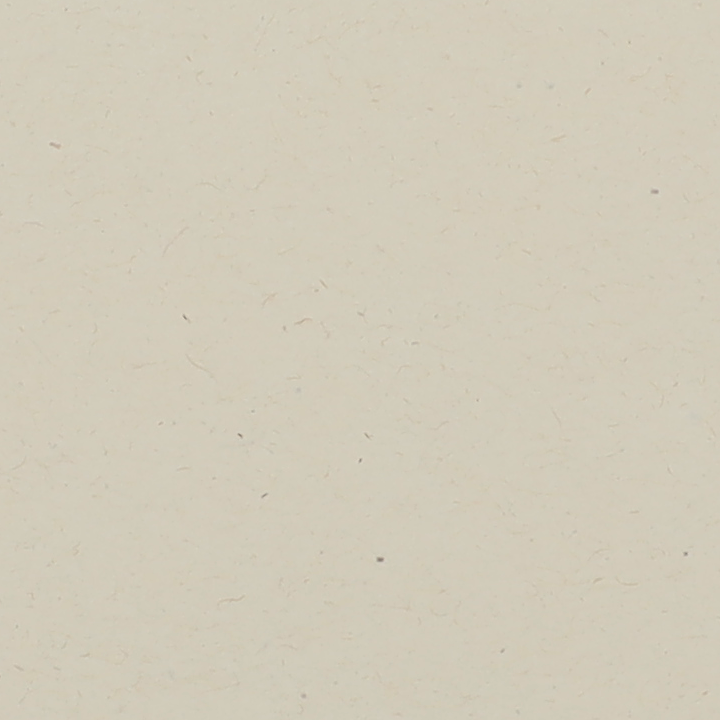 WDSC0207_T.png
