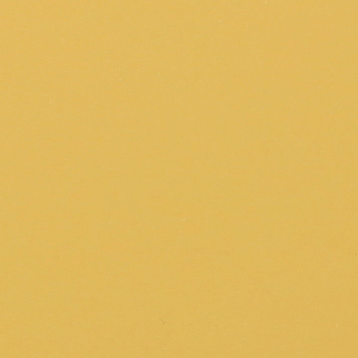 WDSC0307_T.png
