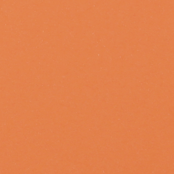 WDSC0407_T.png