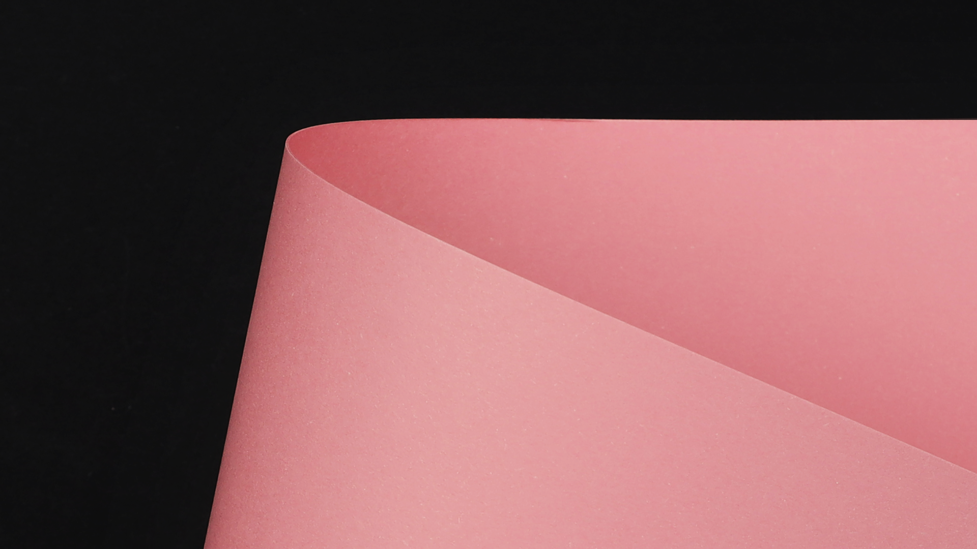WDSC0607_P_D.png