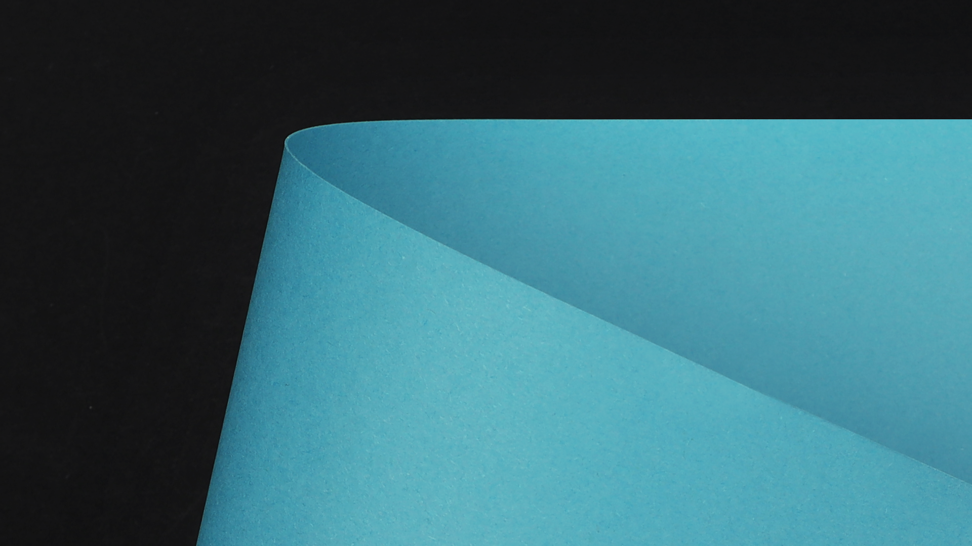 WDSC0807_P_D.png