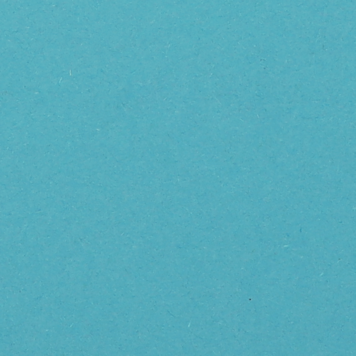 WDSC0807_T.png
