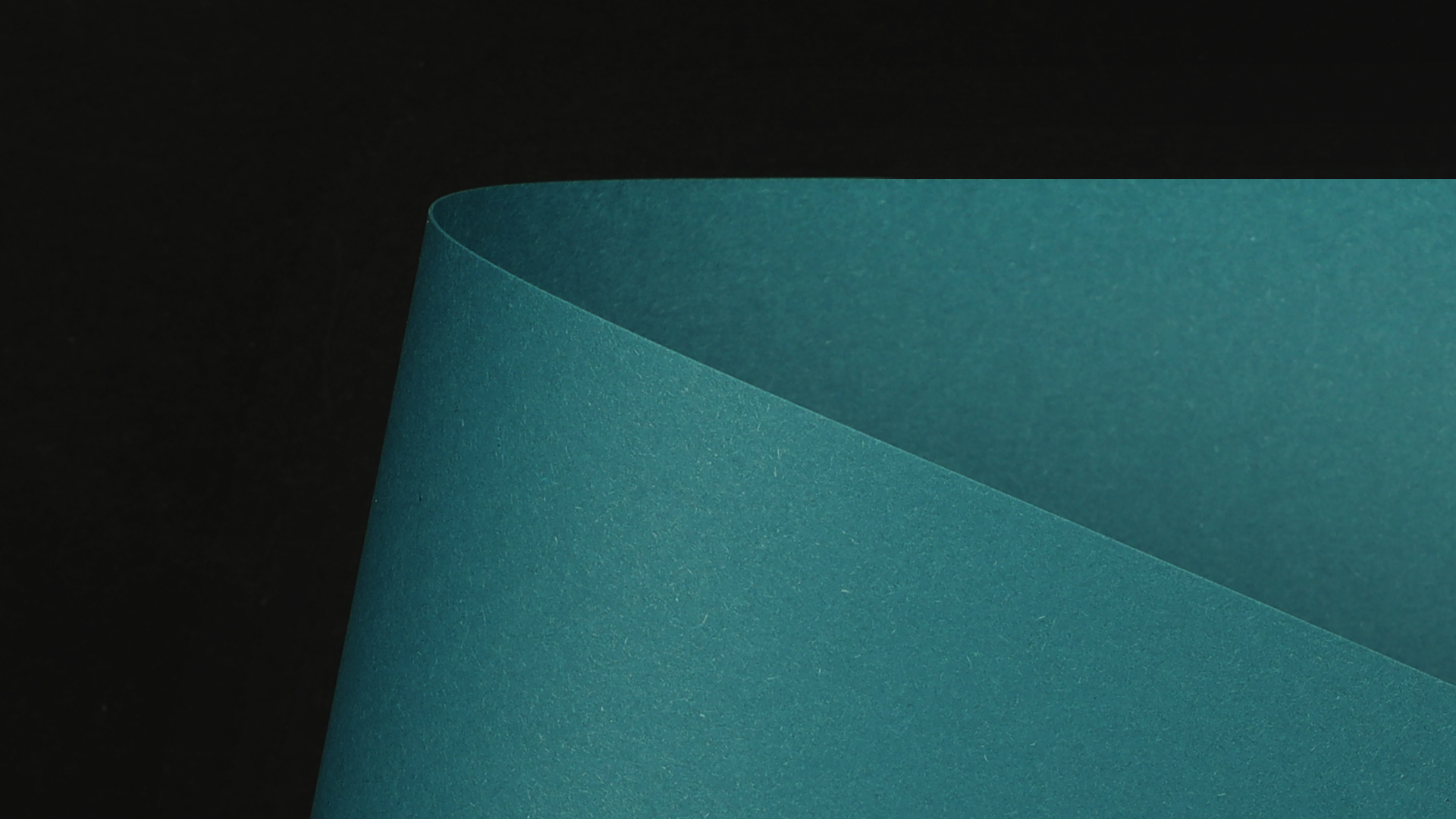 WDSC0907_P_D.png