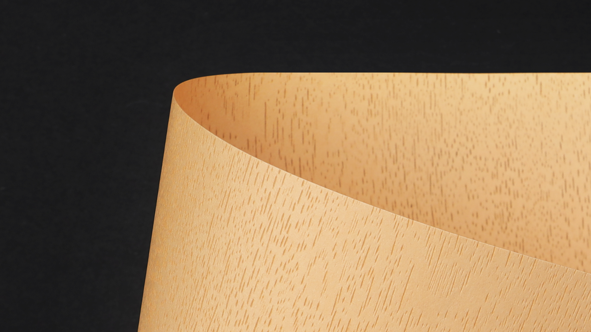 WOODT0102_P_D.png
