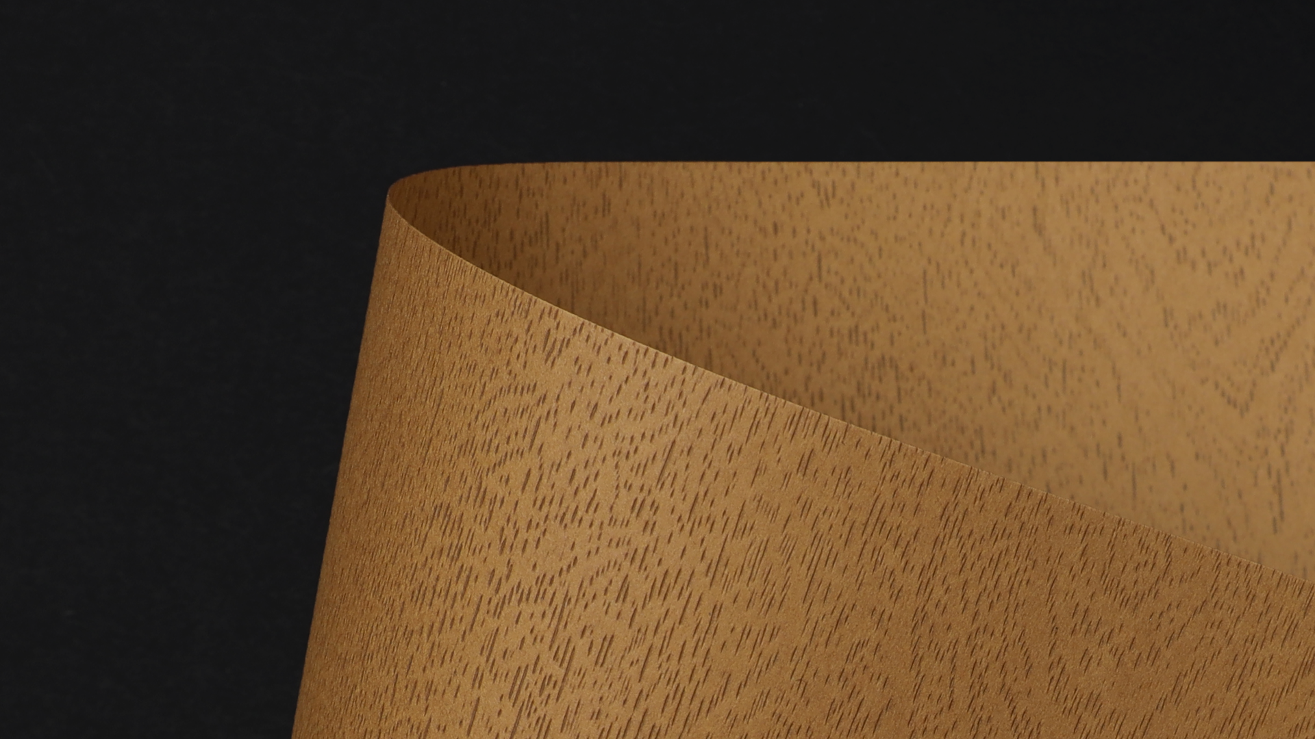 WOODT0202_P_D.png
